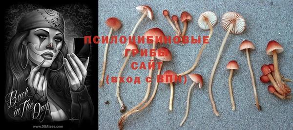 MDMA Premium VHQ Нефтекумск