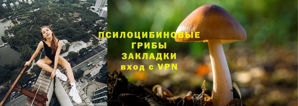 spice Беслан