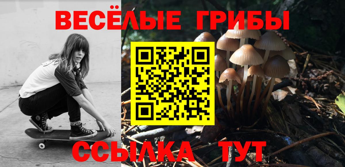 Псилоцибиновые грибы ЛСД Семилуки