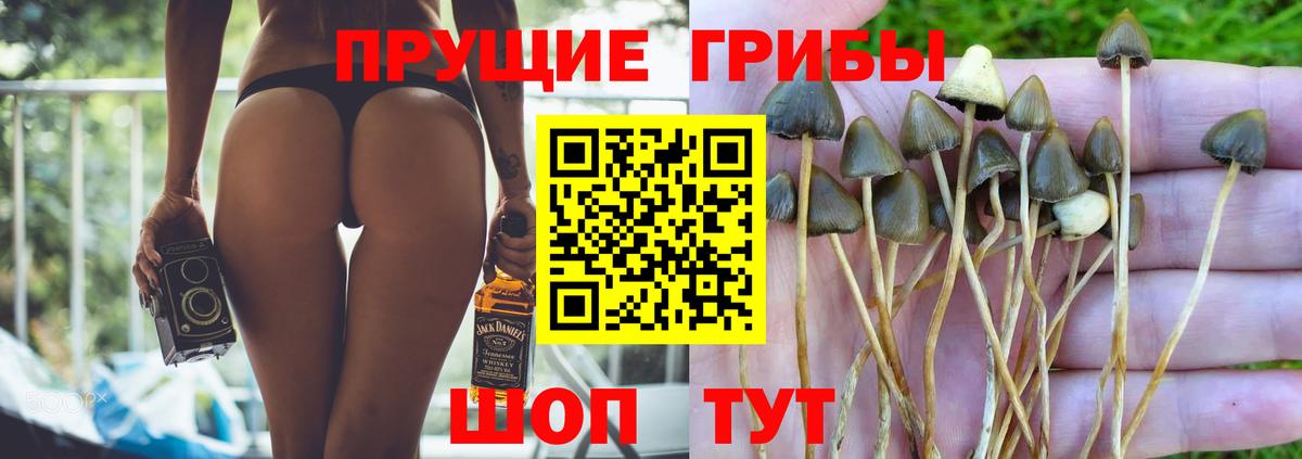 Галлюциногенные грибы Семилуки
